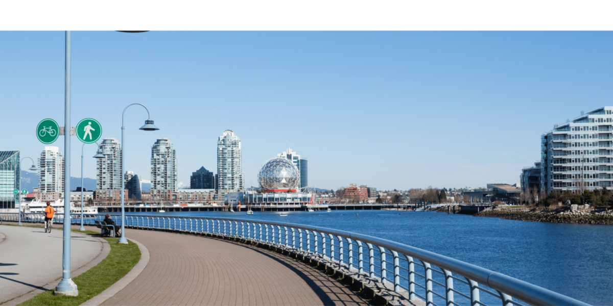 Shadows of the Seawall: Stories Told in Light and Concrete
