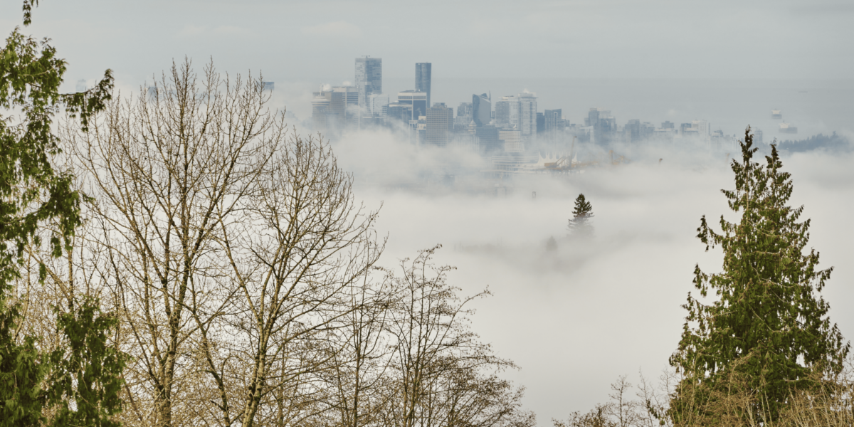 What Fog Reveals: Mornings Through a Vancouver Lens