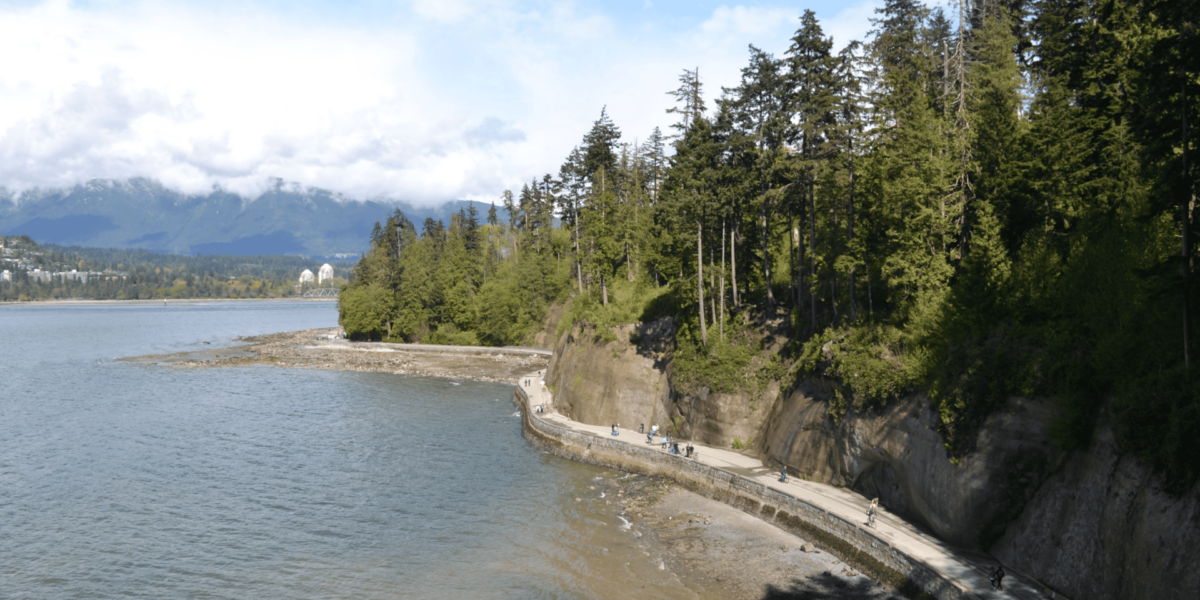 Forest Whispers: Vancouver’s Green Heart Revealed