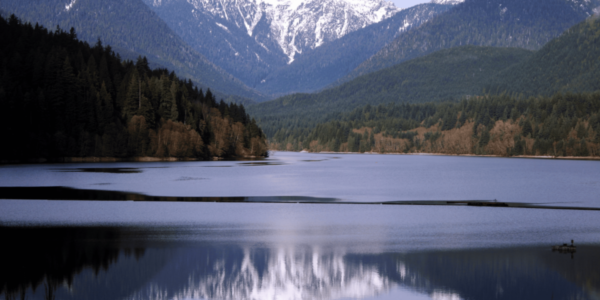 Glacial Blue: Reflections of Ice and Water on the Shore